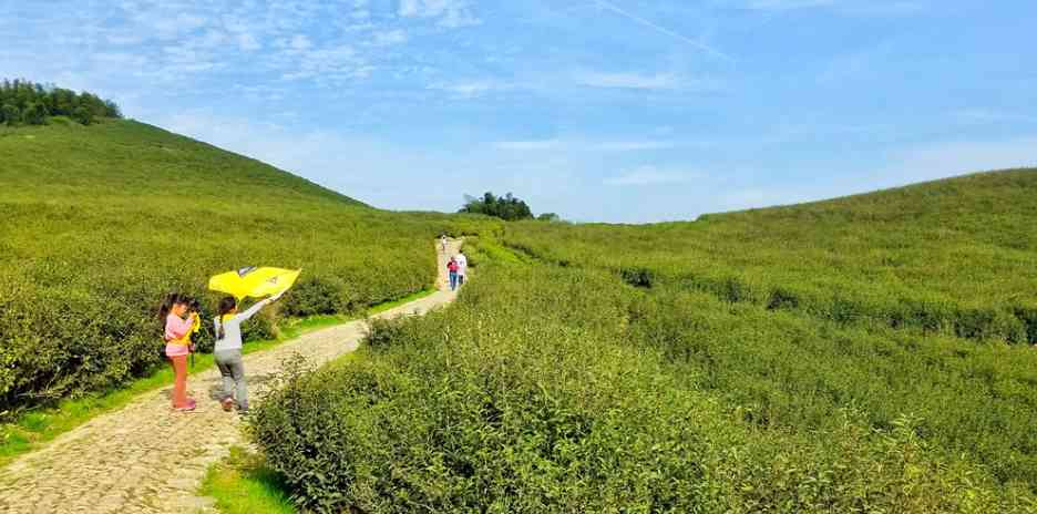 浙江宁波旅游景点大全_去宁波旅游哪个地方好玩？