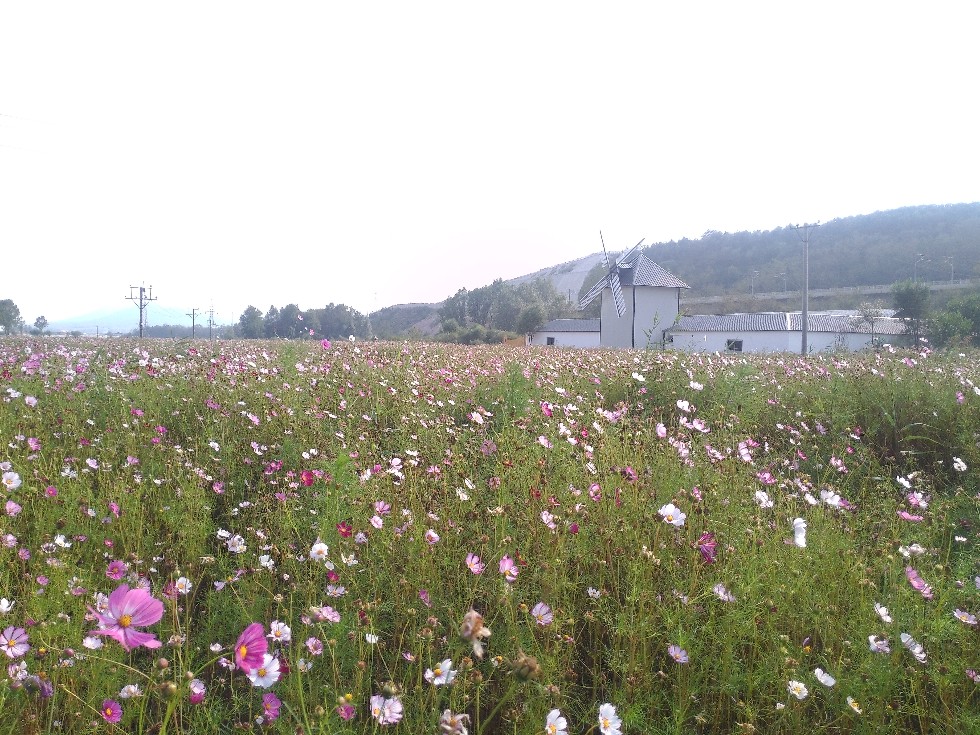 铭湖国际观光牧场