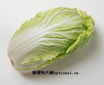 许家桥大白菜