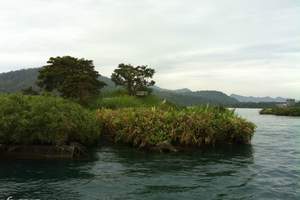 北京出发国航直飞台湾环岛8日旅游（神秘农场之旅）