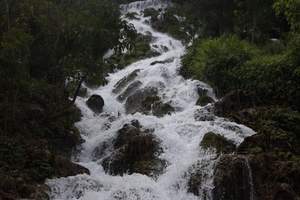 荔波双汽二日游|贵阳去荔波旅游|贵州荔波旅游团|荔波旅游报价