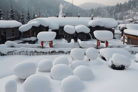 <哈尔滨-东升-雪乡5日游>深入林海雪原（当地游）